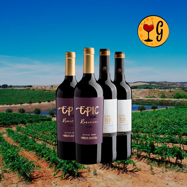 Kit 4 Reservas Argentina & Portugal - Malbec de Mendoza e Alentejo por R$49,90 cada - Oferta