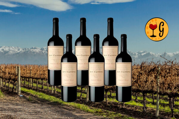 Kit 6 Garrafas Catena Zapata DV Catena Cabernet-Malbec 2024 – Potência e Maciez em Sexteto Argentino - Thumbnail