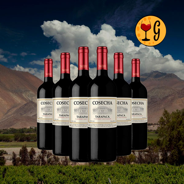 Kit 6 Garrafas Cosecha Tarapacá Cabernet Sauvignon – Sabor e Qualidade Chilena em Sexteto Imbatível - Oferta