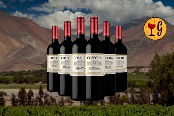 Kit 6 Garrafas Cosecha Tarapacá Cabernet Sauvignon – Sabor e Qualidade Chilena em Sexteto Imbatível - Thumbnail