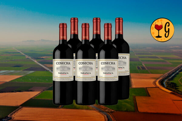 Kit 6 Garrafas Cosecha Tarapacá Carménère – Qualidade e Economia Multiplicadas por Seis - Thumbnail