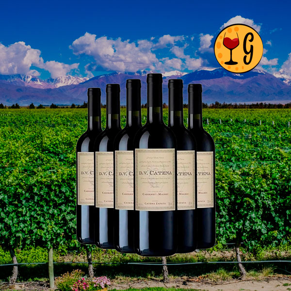 Kit 6 Garrafas DV Catena Cabernet-Malbec 2021 – Legado e Sofisticação Multiplicados por Seis - Oferta
