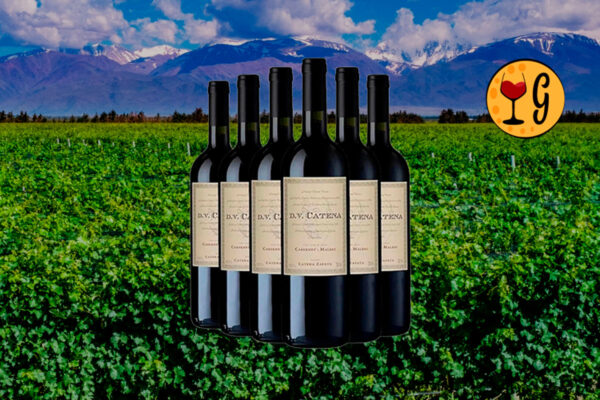 Kit 6 Garrafas DV Catena Cabernet-Malbec 2021 – Legado e Sofisticação Multiplicados por Seis - Thumbnail