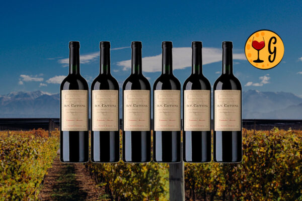 Kit 6 Garrafas DV Catena Cabernet-Malbec 2023 – Potência e Elegância Multiplicadas por Seis - Thumbnail