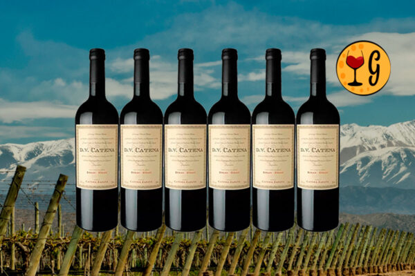 Kit 6 Garrafas DV Catena Syrah-Syrah 2018 – O Melhor Syrah de Altitude em Dose Sextupla - Thumbnail