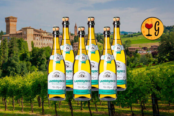 Kit 6 Garrafas Lambrusco Dell’Emilia Bianco Amabile – Doçura e Frescor Multiplicados por Seis - Thumbnail