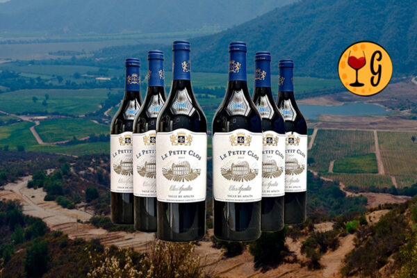Kit 6 Garrafas Le Petit Clos – Elegância e Potência Chilena Multiplicadas por Seis - Thumbnail