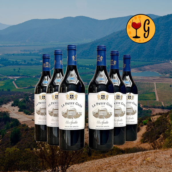 Kit 6 Garrafas Le Petit Clos – Elegância e Potência Chilena Multiplicadas por Seis - Oferta