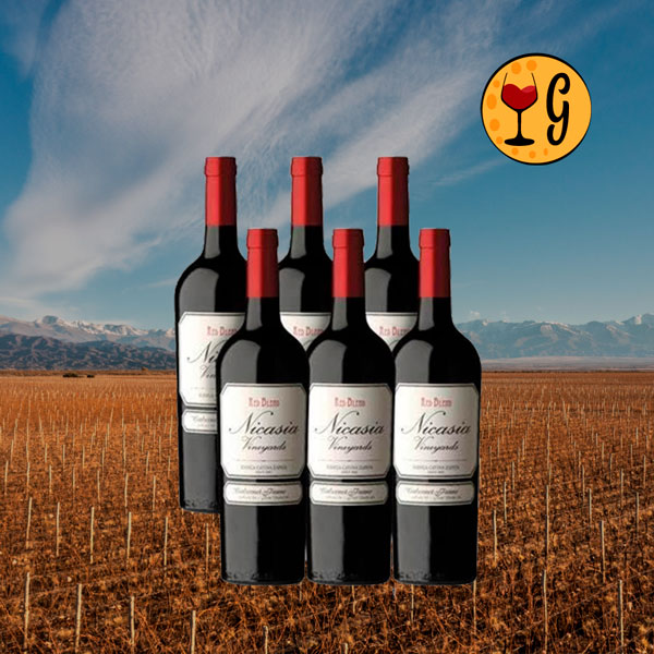 Kit 6 Garrafas Nicasia Vineyards Red Blend Cabernet Franc 2023 – Elegância do Vale do Uco em Dose Séxtupla - Oferta