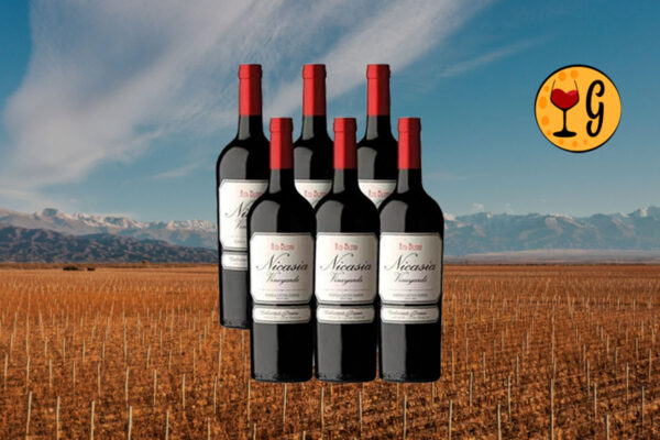 Kit 6 Garrafas Nicasia Vineyards Red Blend Cabernet Franc 2023 – Elegância do Vale do Uco em Dose Séxtupla - Thumbnail