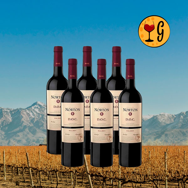 Kit 6 Garrafas Norton DOC Malbec – Elegância e Tradição de Mendoza Multiplicadas por Seis - Oferta