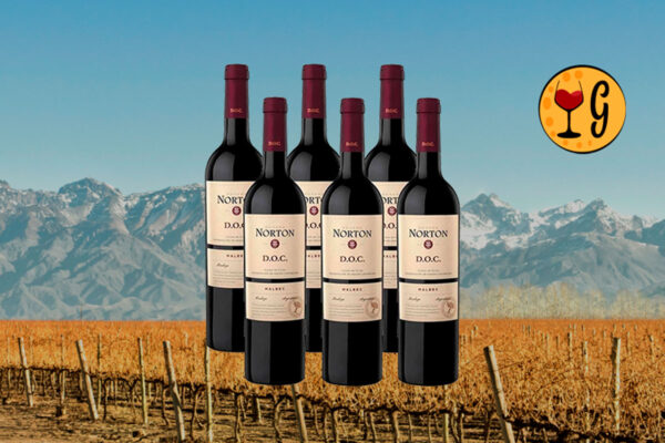 Kit 6 Garrafas Norton DOC Malbec – Elegância e Tradição de Mendoza Multiplicadas por Seis - Thumbnail