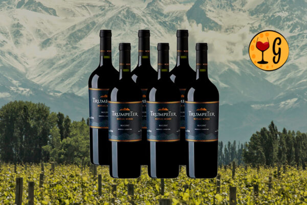 Kit 6 Garrafas Rutini Trumpeter Malbec 2024 – Altitude e Excelência de Mendoza Multiplicadas por Seis - Thumbnail