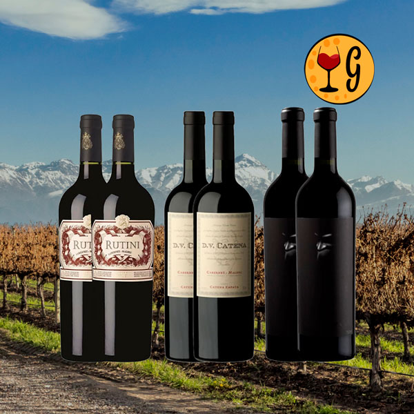 Kit 6 Garrafas Tríade de Mendoza – Tradição e Mistério em Dose Séxtupla - Oferta