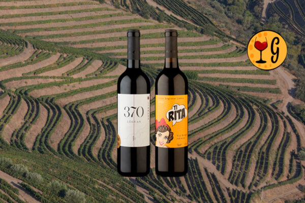 Kit Dueto Lusitano – Douro & Lisboa em 2 Vinhos por R$77 - Thumbnail