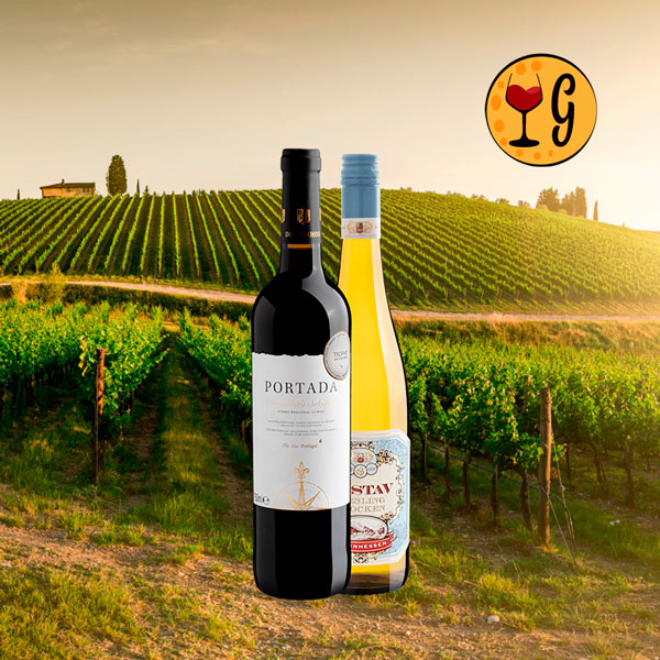 Kit Dueto Luso-Alemão – Portugal & Alemanha em 2 Vinhos por menos de R$65 cada - Oferta