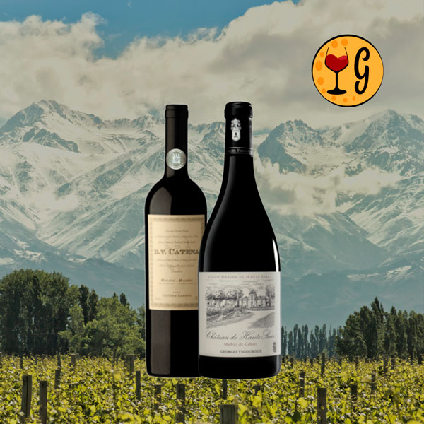 Kit Malbec Velho e Novo Mundo – Elegância de Cahors & Potência de Mendoza em Dupla Exclusiva - Oferta