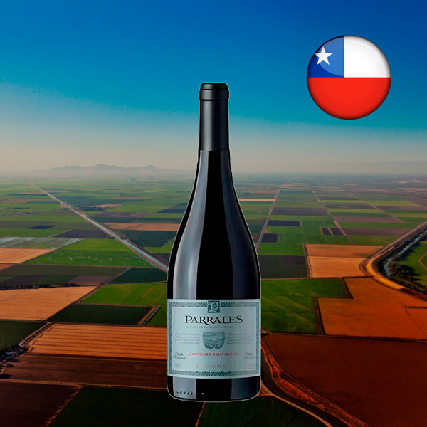 Parrales Reserva Cabernet Sauvignon 2023 - Oferta