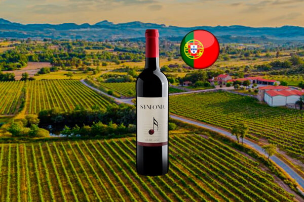 Synfonia Tinto - Thumbnail