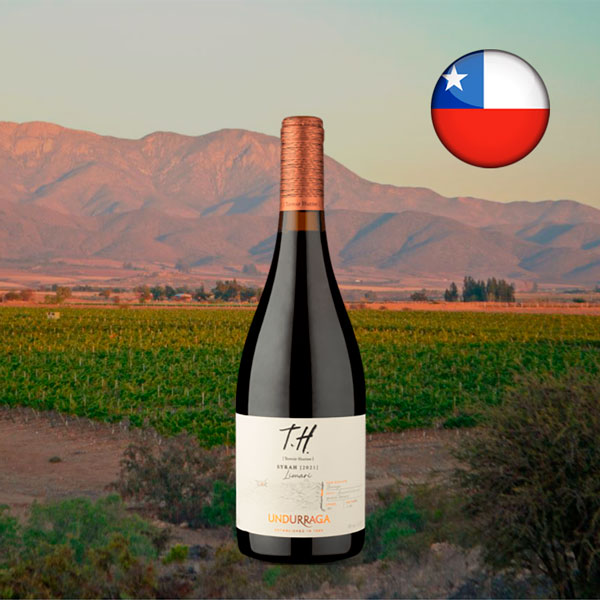 T.H. [Terroir Hunter] DO Valle Del Limarí Syrah 2021 - Oferta