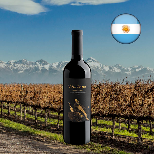 Viña Cobos Hobbs Estate Cabernet Sauvignon 2019 - Oferta