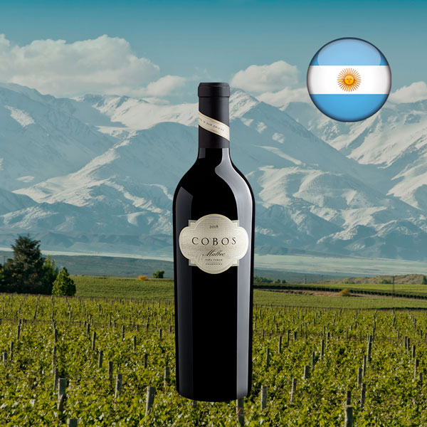 Viña Cobos Malbec 2018 - Oferta