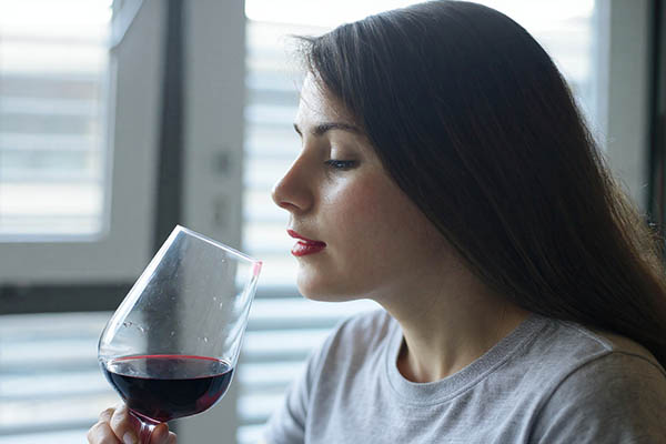 Altosur Sophenia Malbec 2020 - Degustando