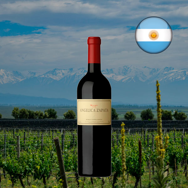 Angelica Zapata Malbec Alta 2022 - Oferta