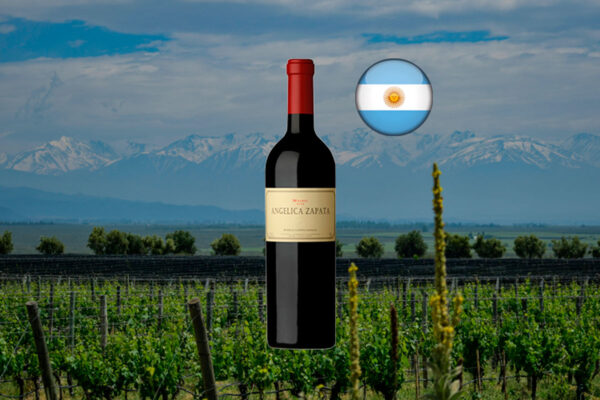 Angelica Zapata Malbec Alta 2022 - Thumbnail
