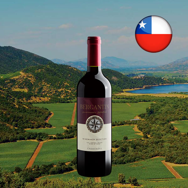 Bergantin Winemaker Selection Carménère Valle Central DO - Oferta