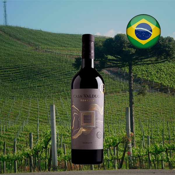 Casa Valduga Terroir Merlot - Oferta