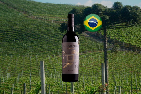 Casa Valduga Terroir Merlot - Thumbnail