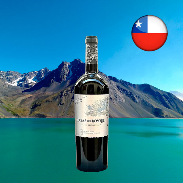 Casas Del Bosque Gran Reserva Cabernet Sauvignon 2020 - Oferta
