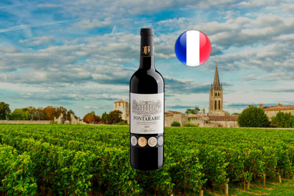 Château Fontarabie Blaye Côtes de Bordeaux AOC 2020 - Thumbnail