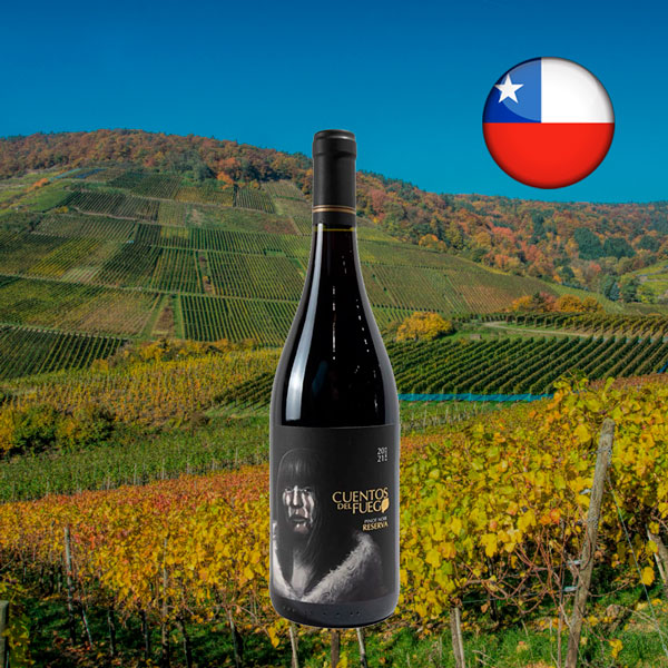 Cuentos Del Fuego Pinot Noir Reserva 2023 - Oferta