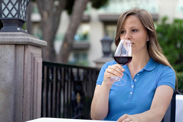 Errazuriz Hill Series Reserva Red Blend 2023 - Degustando