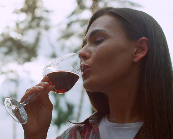 Karan Reserva Colchagua Valley Carménère 2024 - Degustando