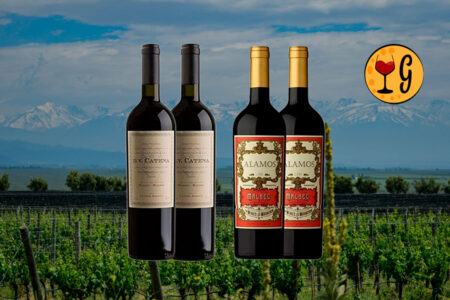 Kit 4 Garrafas DV Catena Malbec-Malbec e Alamos Malbec – Excelência e Versatilidade do Malbec Argentino em Dose Quádrupla - Thumbnail