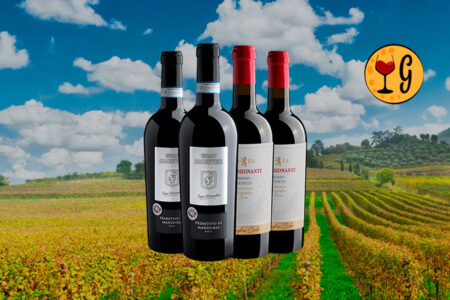 Kit 4 Vinhos Italianos 98 Pts Luca Maroni – Puglia e Veneto Unem Forças a Preço Especial - Thumbnail