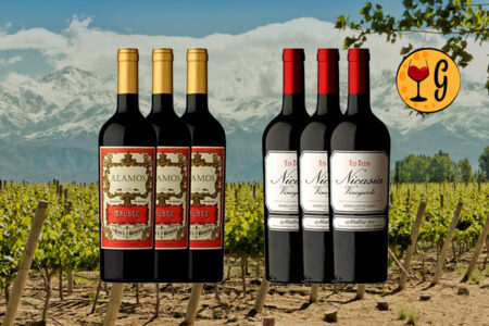 Kit 6 Garrafas Alamos Malbec 2019 e Nicasia Vineyards Red Blend Malbec 2020 – Tradição e Exclusividade em Dose Tripla - Thumbnail