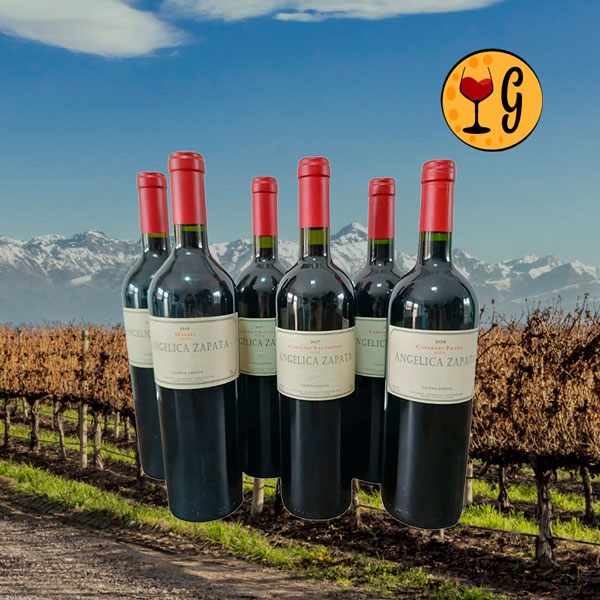Kit 6 Garrafas Angélica Zapata – Três Joias de Altitude em Dose Séxtupla - Oferta