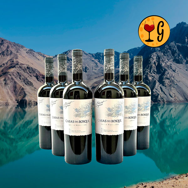 Kit 6 Garrafas Casas Del Bosque Gran Reserva Cabernet Sauvignon 2020 – Potência e Elegância do Maipo Multiplicadas por Seis - Oferta