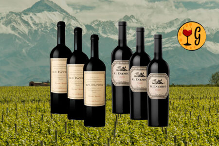 Kit 6 Garrafas DV Catena Malbec-Malbec e El Enemigo Malbec – Legado e Ousadia do Malbec Argentino - Thumbnail