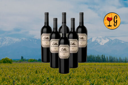 Kit 6 Garrafas El Enemigo Malbec 2017 – Exuberância Andina Multiplicada por Seis - Thumbnail