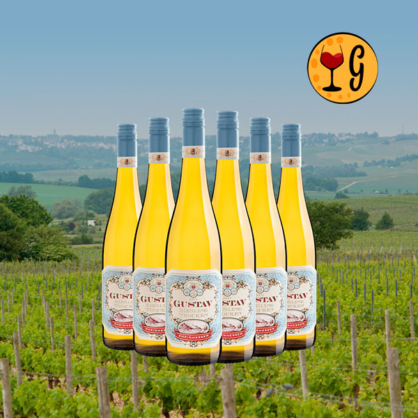 Kit 6 Garrafas Gustav Riesling Trocken Rheinhessen 2023 – Frescura e Elegância Multiplicadas por Seis - Oferta