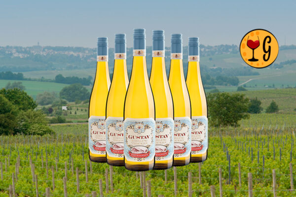 Kit 6 Garrafas Gustav Riesling Trocken Rheinhessen 2023 – Frescura e Elegância Multiplicadas por Seis - Thumbnail