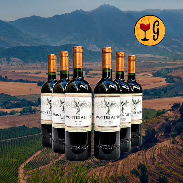 Kit 6 Garrafas Montes Alpha Malbec 2022 – Potência e Elegância Chilena Multiplicadas por Seis - Oferta