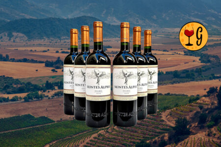 Kit 6 Garrafas Montes Alpha Malbec 2022 – Potência e Elegância Chilena Multiplicadas por Seis - Thumbnail