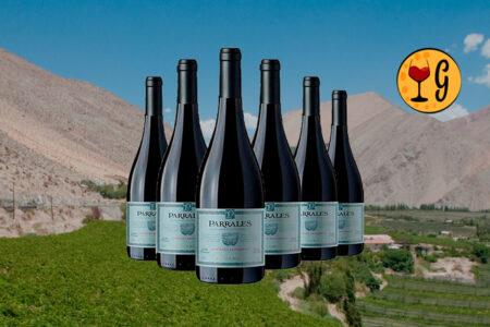 Kit 6 Garrafas Parrales Reserva Cabernet Sauvignon – Intensidade e Maciez Chilena Multiplicadas por Seis - Thumbnail