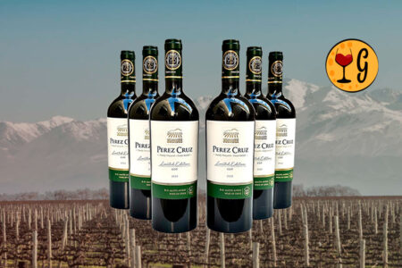 Kit 6 Garrafas Perez Cruz Limited Edition Cot (Malbec) 2022 — Maipo Andes em Sexteto - Thumbnail